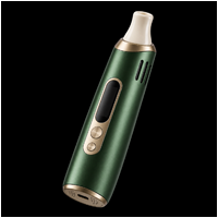 Vaporizer