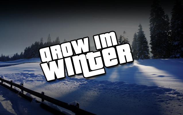 Indoor-Grow im Winter – Tipps für stabile Ernten - Indoor-Grow im Winter – Tipps für stabile Ernten