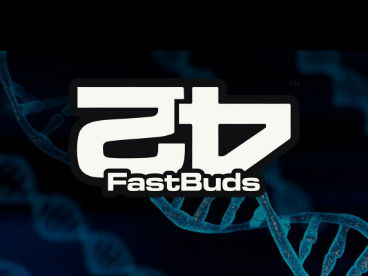 Autoflower Samen von 42 Fast Buds – schnell &amp; einfach growen | RedEyeSeeds.de - Autoflower Samen von 42 Fast Buds – schnell &amp; einfach growen | RedEyeSeeds.de
