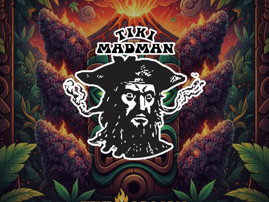 Tiki Madman – Premium Cannabis Genetik im Fokus | RedEyeSeeds - Tiki Madman – Premium Cannabis Genetik im Fokus | RedEyeSeeds