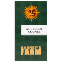 Barneys Farm - Girl Scout Cookies - 3x Cannabis Samen