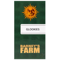 Barneys Farm - Glookies