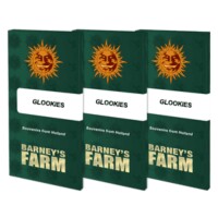 Barneys Farm - Glookies