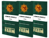 Barneys Farm - Lemon Drizzle - 3x Cannabis Samen