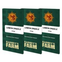 Barneys Farm - Lemon Tree