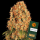 Barneys Farm - Orange Sherbert