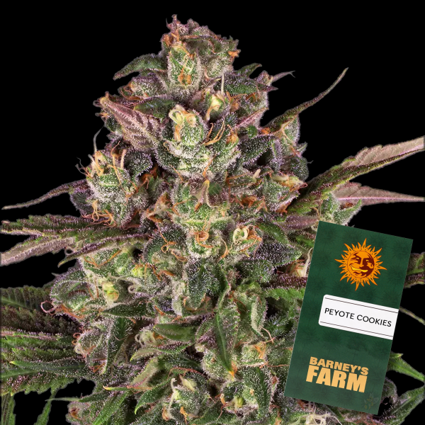Barneys Farm - Peyote Cookies