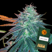 Barneys Farm - Triple Cheese - 3x Cannabis Samen