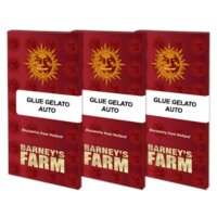 Barneys Farm - Glue Gelato -