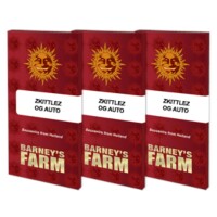 Barneys Farm - Zkittlez OG Auto - 3x Cannabis Samen