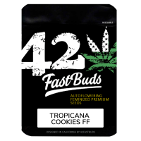 FastBuds - Tropicana Cookies FF - 5x Cannabis Samen
