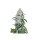 FastBuds - West Coast O.G. Auto - 10x Cannabis Samen