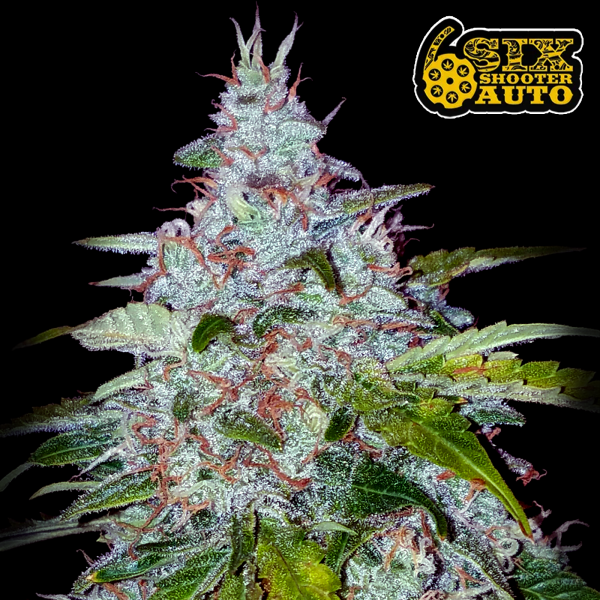 FastBuds - Six Shooter Auto