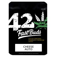 FastBuds - Cheese Auto