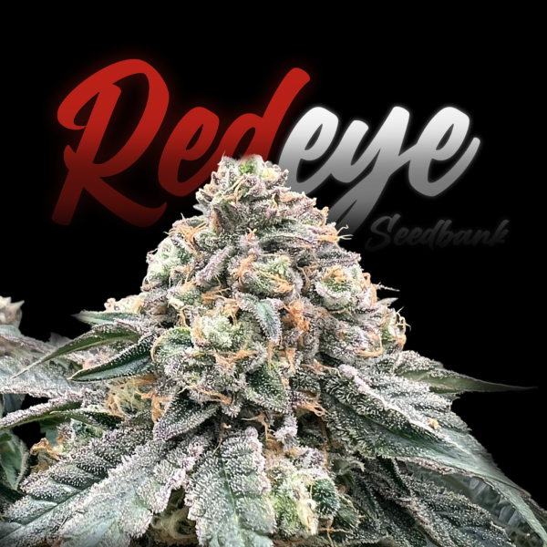 RedEyes - Double Runtz