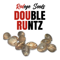 RedEyes - Double Runtz