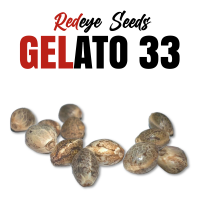 RedEyes - Gelato33