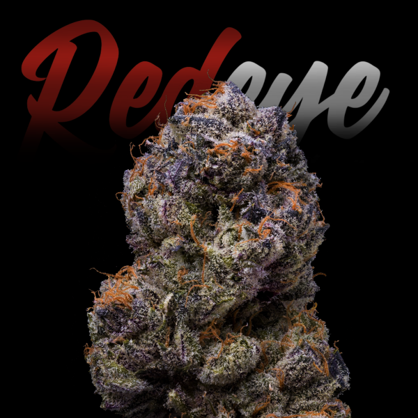 RedEyes - Zkittlez