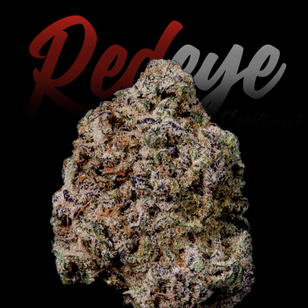 RedEyes - Grape Cookies Auto