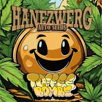 Hanfzwerg - Toffeebombe (Automatik) - 3x Cannabis Samen