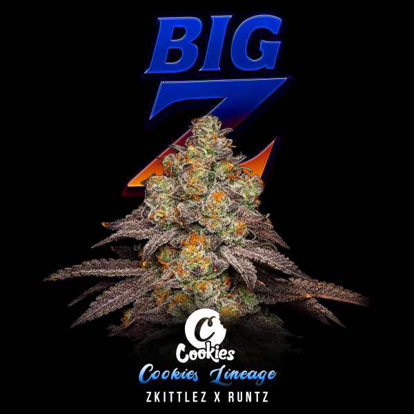 Cookies - Big Z - Zkittlez X Runtz (Feminisiert) 3x Cannabis Samen