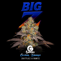 Cookies - Big Z - Zkittlez X Runtz (Feminisiert) 3x...