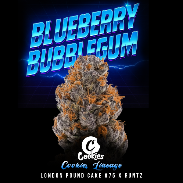 Cookies - Blueberry Bubble Gum - London Pound Cake #75 X Runtz (Feminisiert) 3x Cannabis Samen
