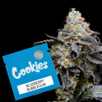 Cookies - Blueberry Bubble Gum - London Pound Cake #75 X...
