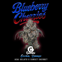 Cookies - Blueberry Cherries - Oregon ’85 Blueberry...