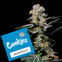 Cookies - Grapefruitz - Zkittlez X Sunset Sherbet...