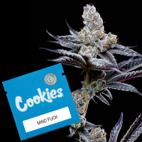 Cookies - Mind Fuck - Gelato X Sunset Sherbet