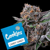 Cookies - Candy Candy - Runtz X Cherry Pie X Planet...