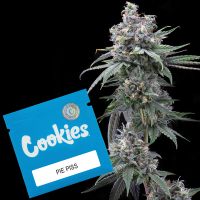 Cookies - Pie Piss - (San Diego Cat Piss X Moonbow) X...