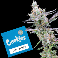 Cookies - Dirty Money - Big Face X Double Lemon Cherry...