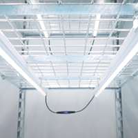 i-Clone LED-Röhren für Stecklinge und Mutterpflanzen