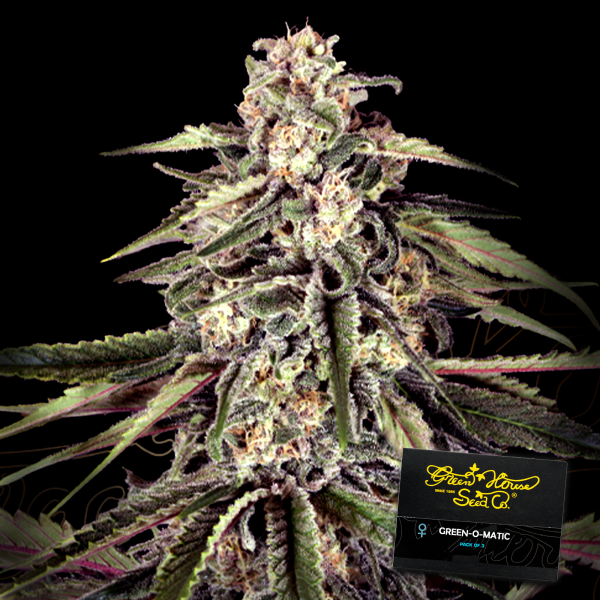 Green House - Green- o- Matic - Auto