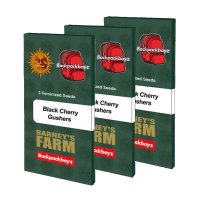 Barneys Farm x Backpackboyz - Black Cherry Gushers