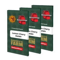 Barneys Farm x Backpackboyz - Lemon Cherry Gelato