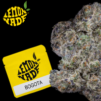Cookies - Bogota - 3 x Seeds