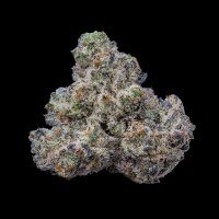 Cookies - Bogota - 3 x Seeds