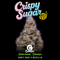 Cookies - Crispy Sugar - 3x Seeds