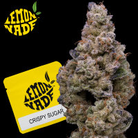 Cookies - Crispy Sugar - 3x Seeds