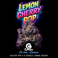 Cookies - Lemon Cherry Pop