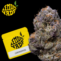 Cookies - Lemongrass - 3x Seeds