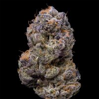 Cookies - Lemongrass - 3x Seeds