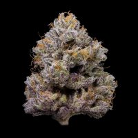 Cookies - ZZ4
