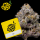 Cookies - ZZ4