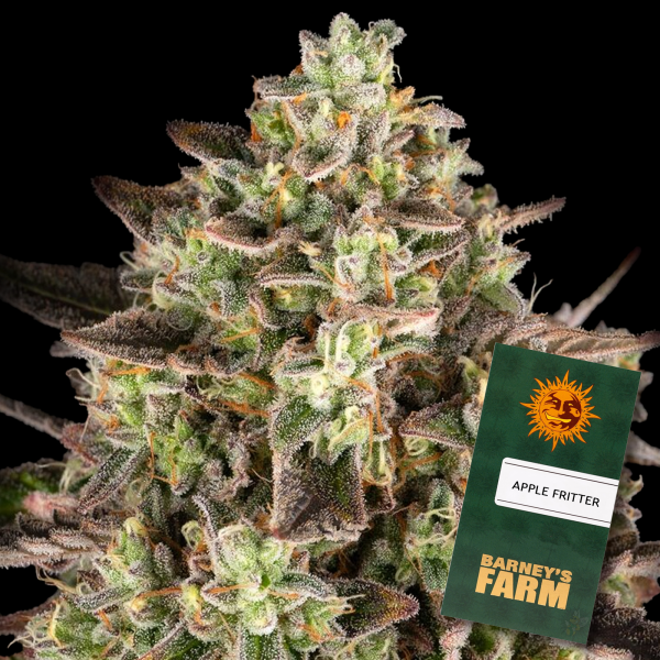 Barney´s Farm - Apple Fritter