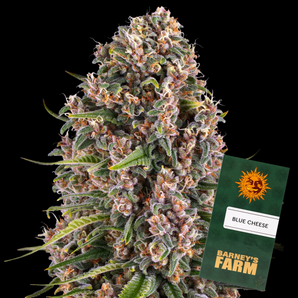 Barney´s Farm - Blue Cheese