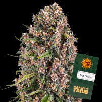 Barney´s Farm - Blue Cheese